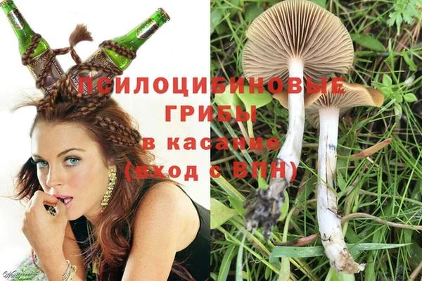 бутират Алексин