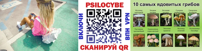 Псилоцибиновые грибы Psilocybine cubensis  Купить  Новоаннинский 